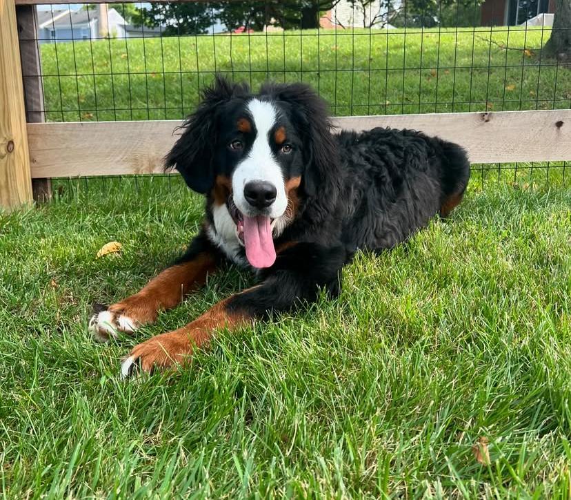 PHOTO-2025-03-19-20-47-47