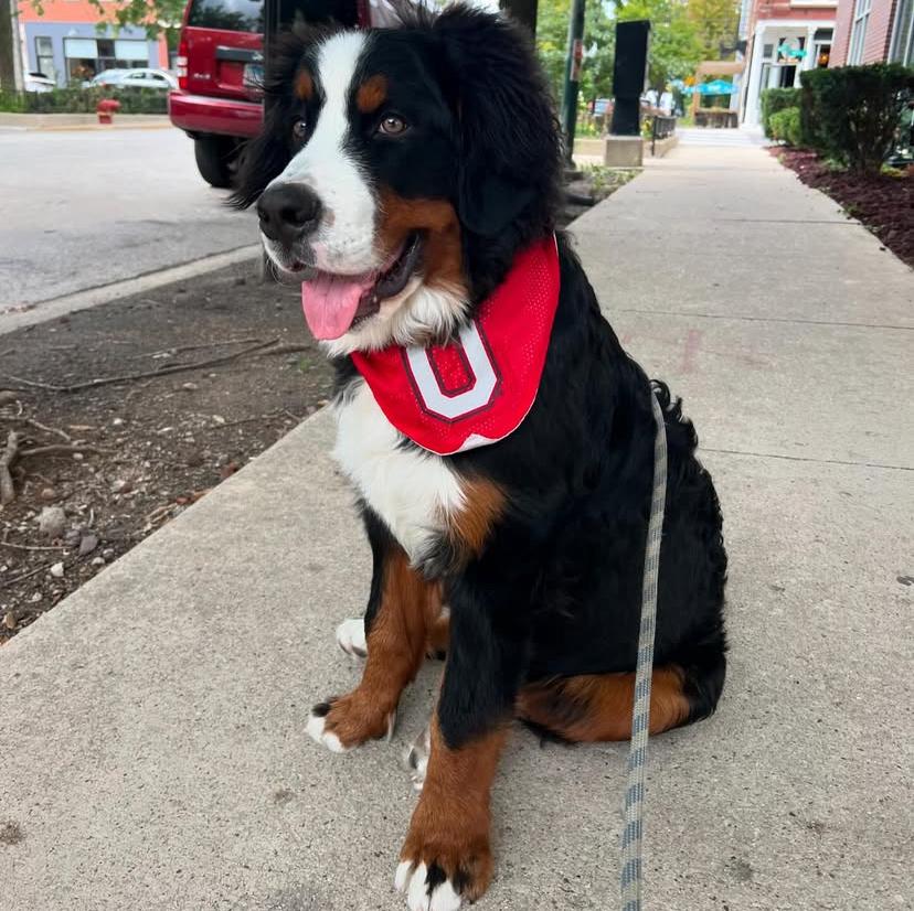 PHOTO-2025-03-19-20-47-48 2