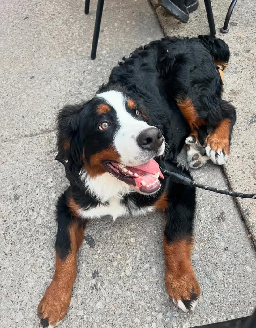 PHOTO-2025-03-19-20-47-48 3