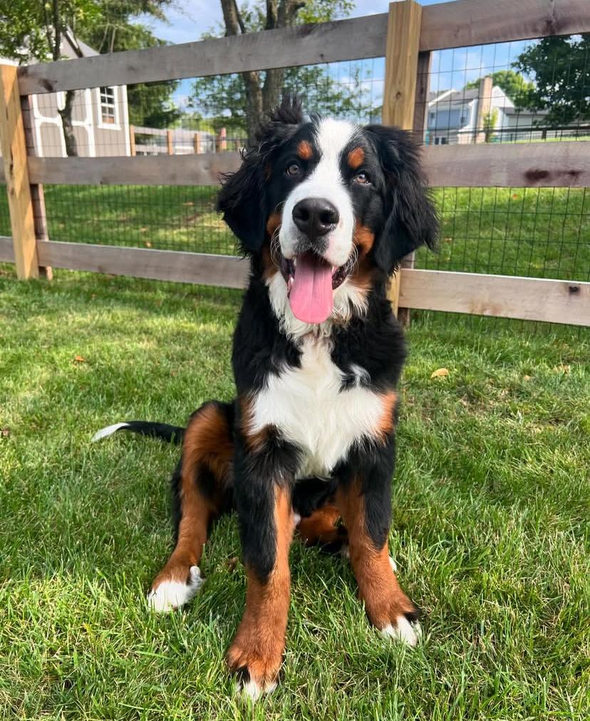 PHOTO-2025-03-19-20-47-48 4