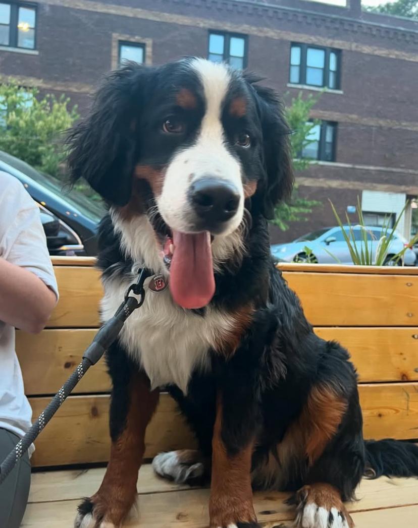 PHOTO-2025-03-19-20-47-48