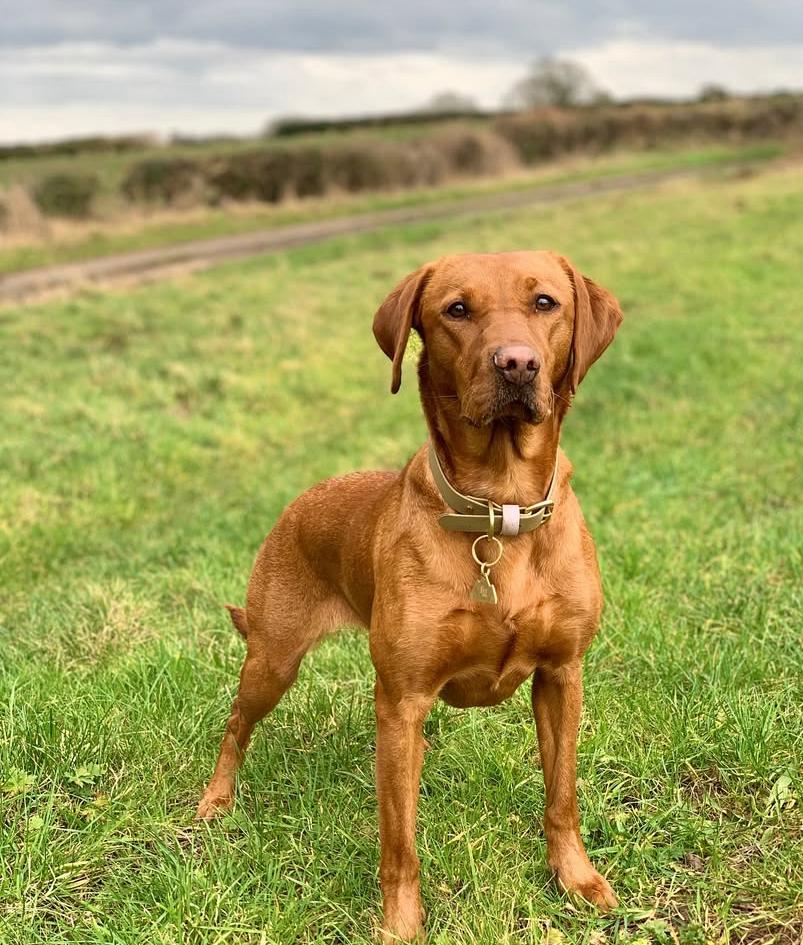 PHOTO-2025-03-19-21-06-38