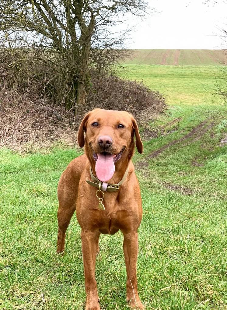 PHOTO-2025-03-19-21-06-40 2