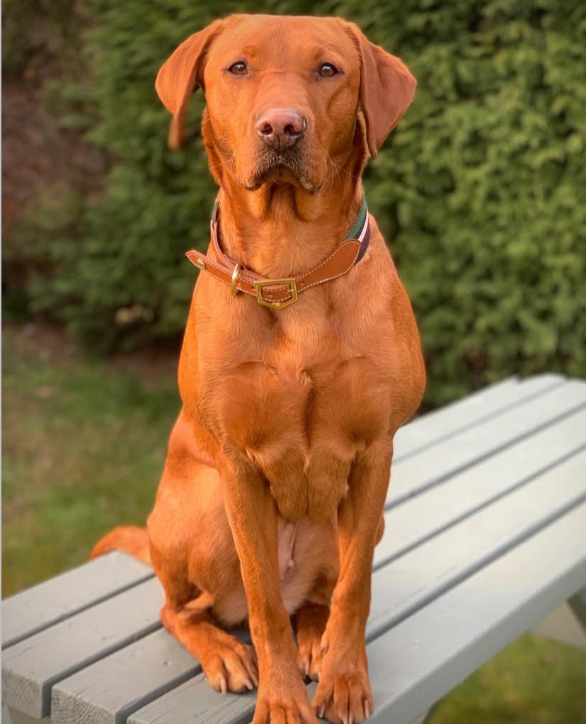 PHOTO-2025-03-19-21-06-40 3