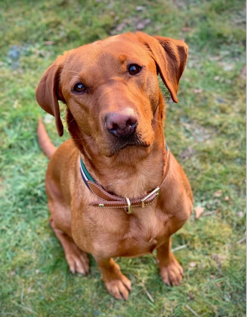 PHOTO-2025-03-19-21-06-40 4