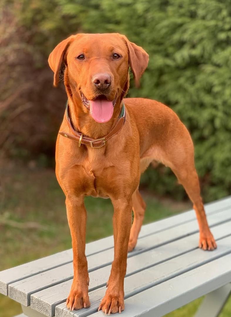 PHOTO-2025-03-19-21-06-40