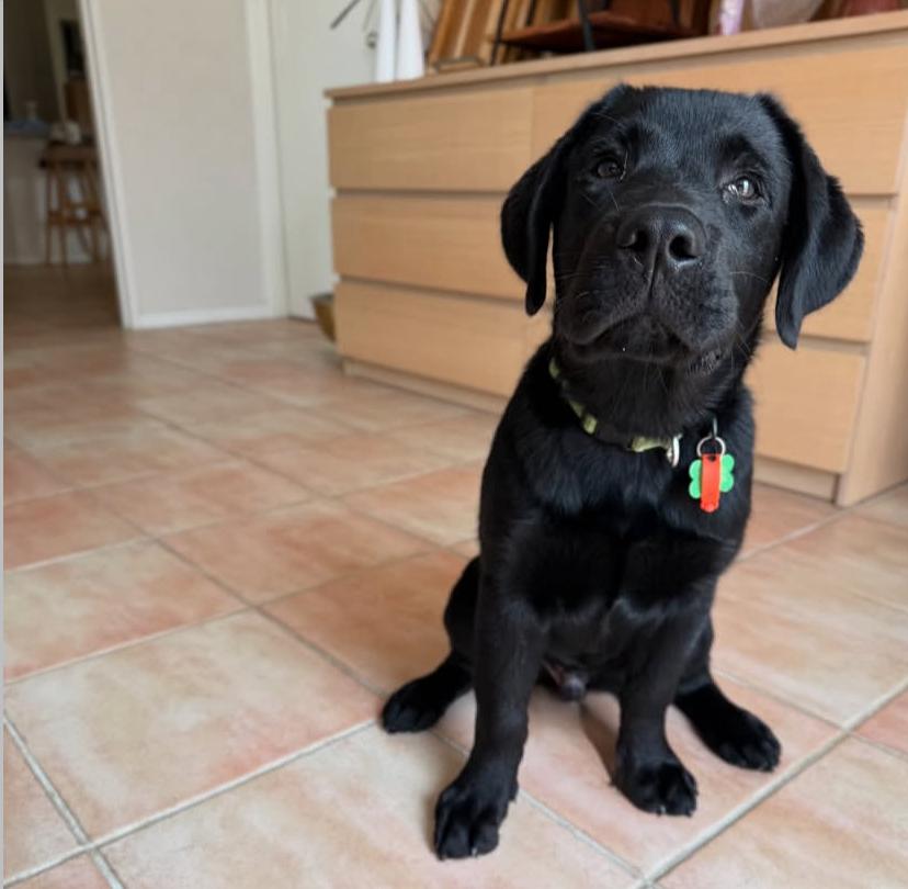 PHOTO-2025-03-19-21-09-01 2