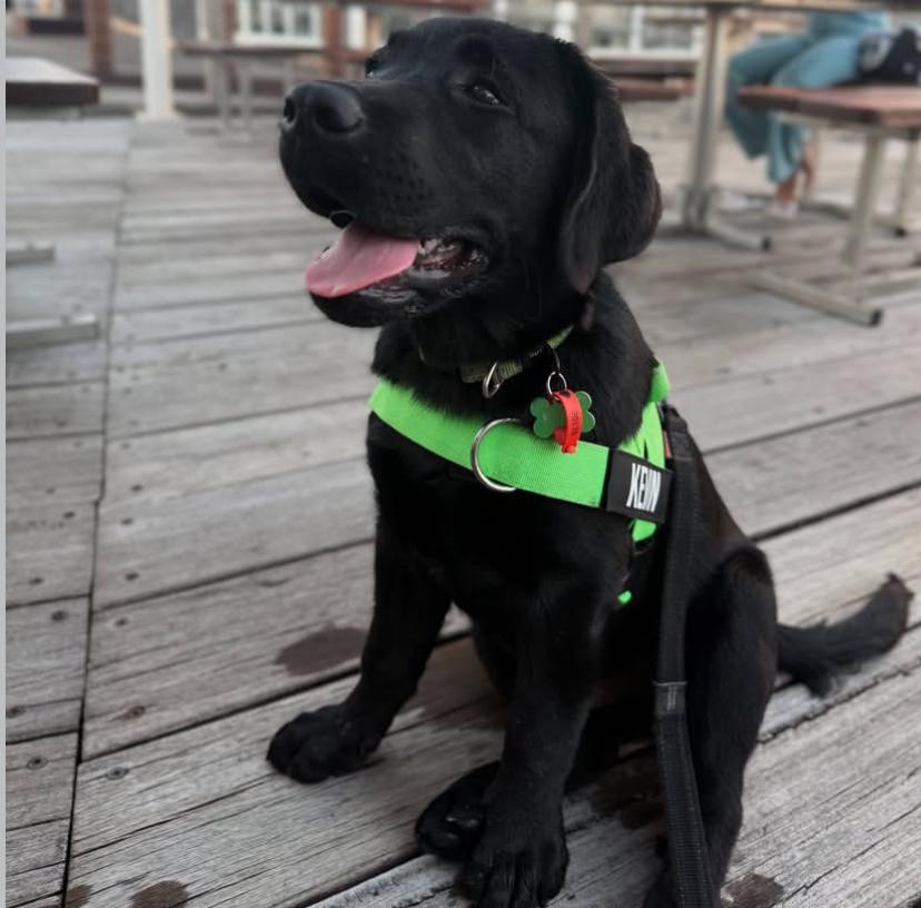 PHOTO-2025-03-19-21-09-01