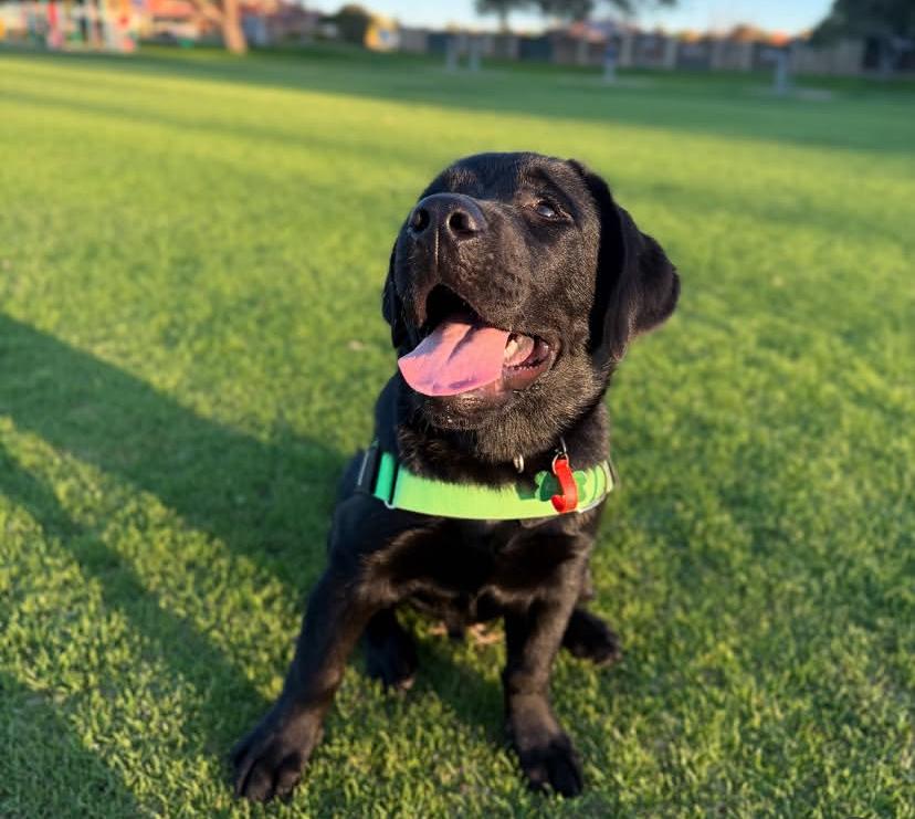 PHOTO-2025-03-19-21-09-03