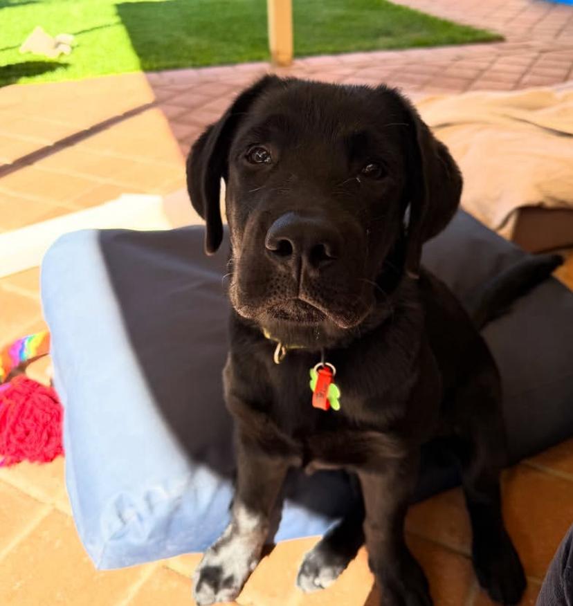 PHOTO-2025-03-19-21-09-05