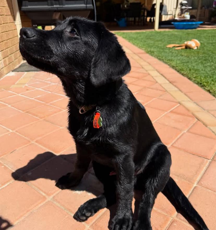 PHOTO-2025-03-19-21-09-07