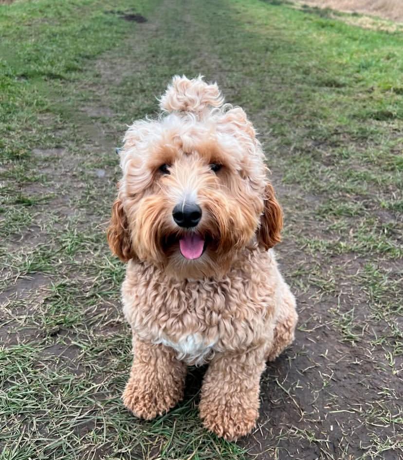 PHOTO-2025-03-19-21-13-00