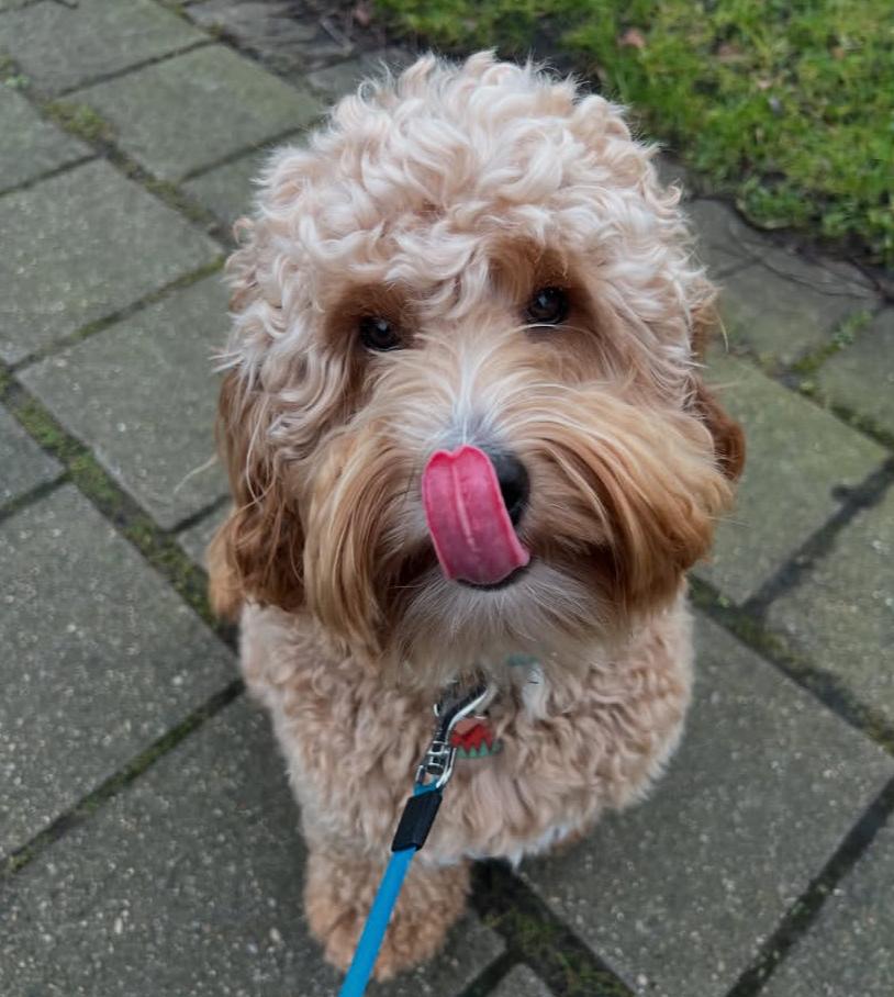 PHOTO-2025-03-19-21-13-01 2