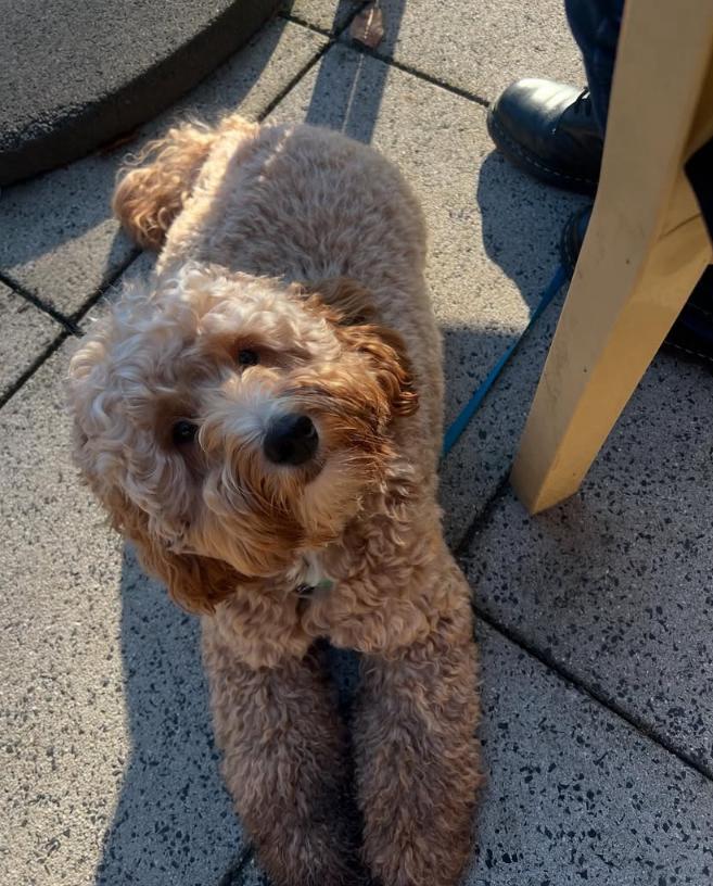 PHOTO-2025-03-19-21-13-02 2