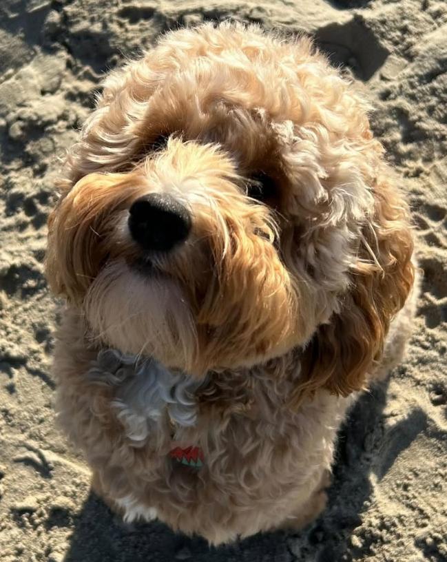 PHOTO-2025-03-19-21-13-02