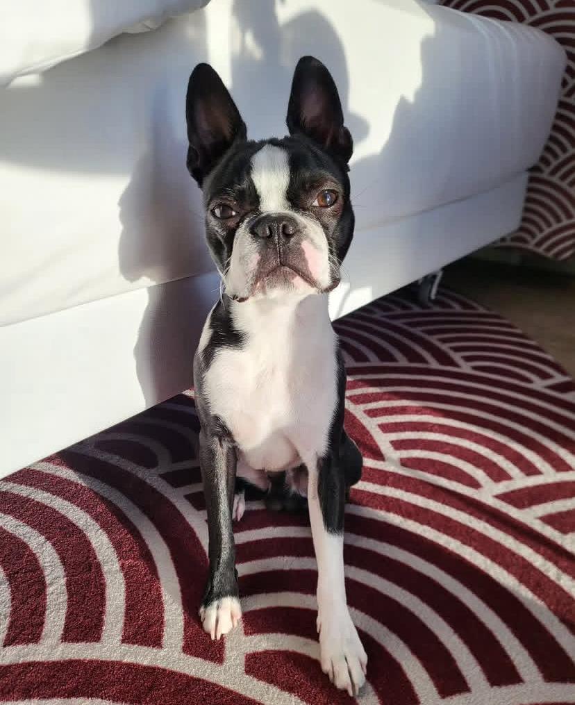 PHOTO-2025-03-19-21-26-45 2