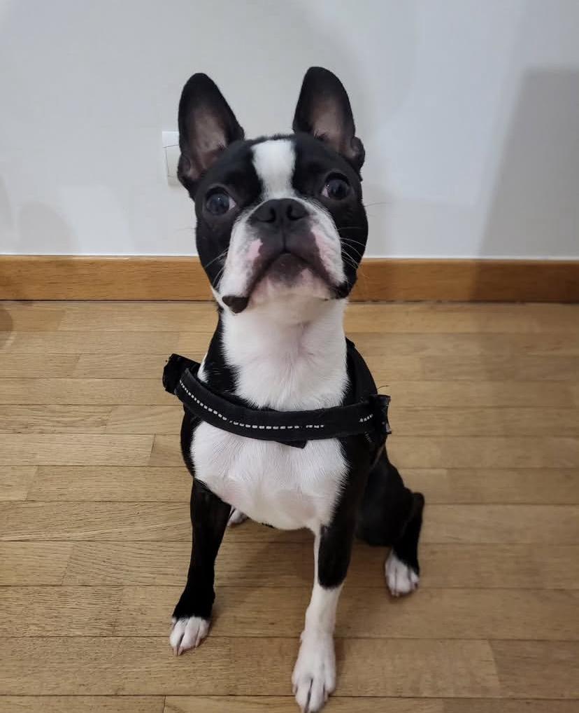 PHOTO-2025-03-19-21-26-45