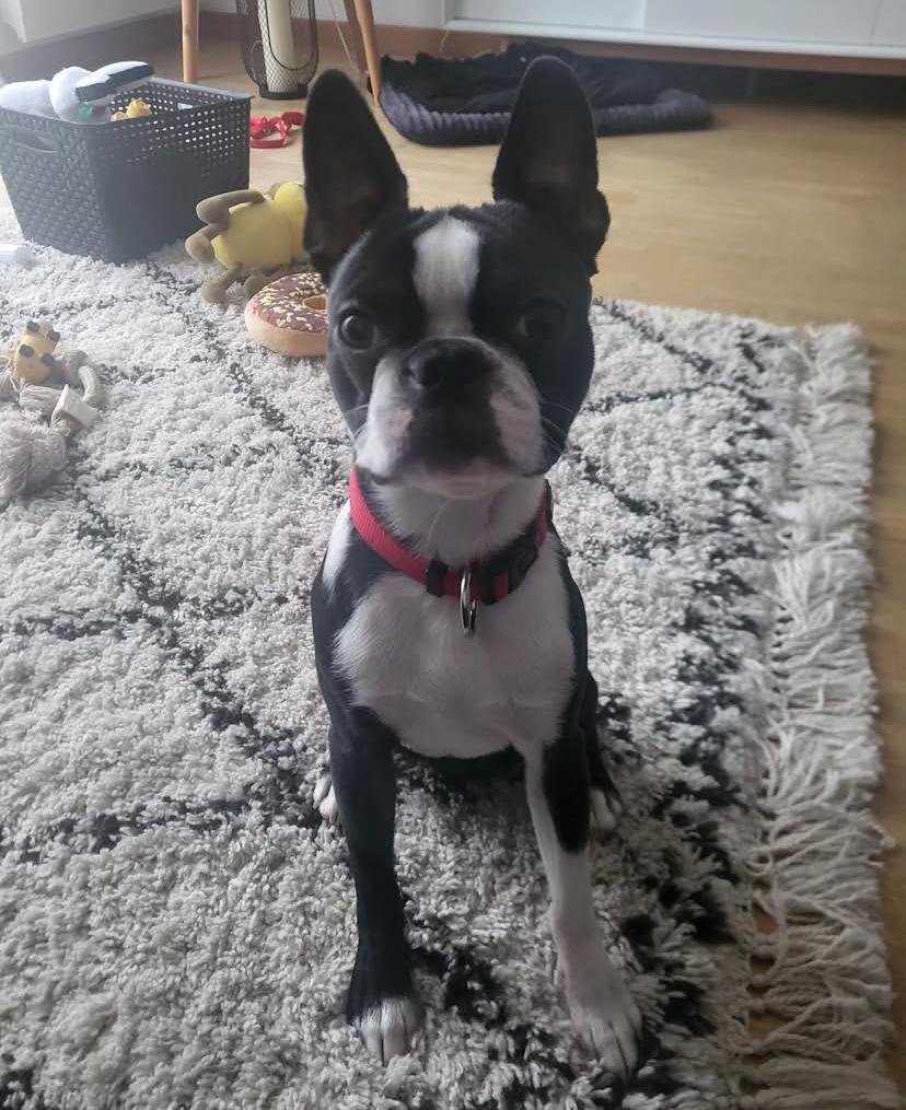 PHOTO-2025-03-19-21-26-46 2