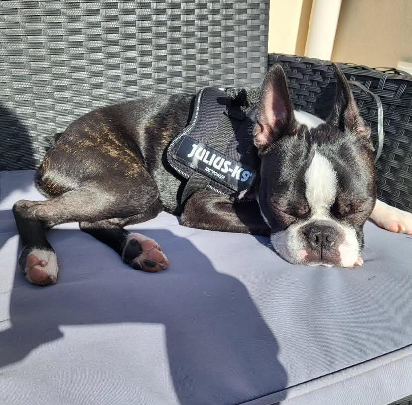 PHOTO-2025-03-19-21-26-46 3