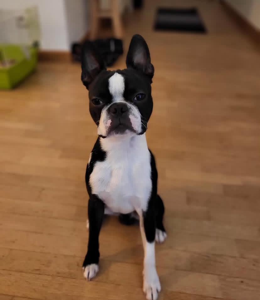 PHOTO-2025-03-19-21-26-46