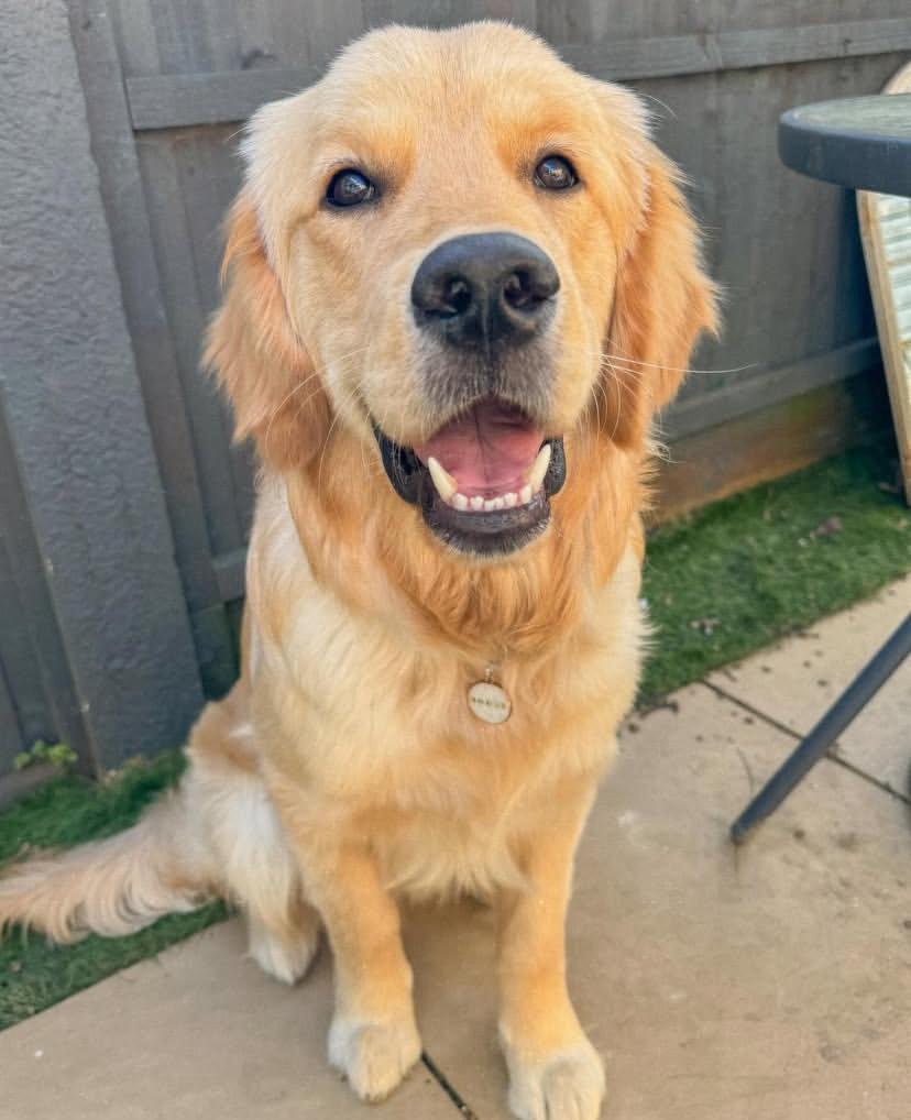 PHOTO-2025-03-19-21-29-52 2