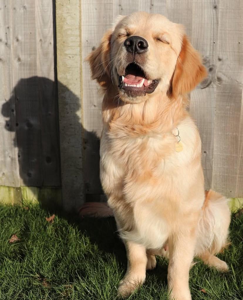 PHOTO-2025-03-19-21-29-52