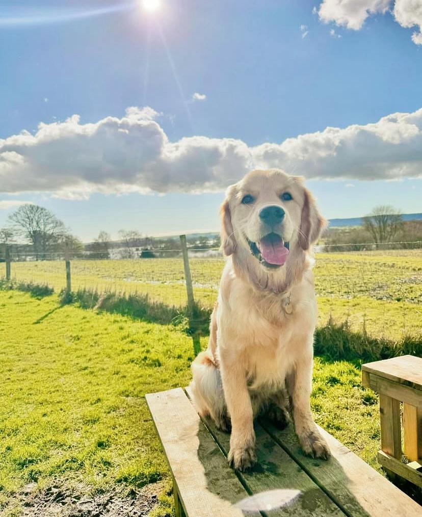 PHOTO-2025-03-19-21-29-53 2