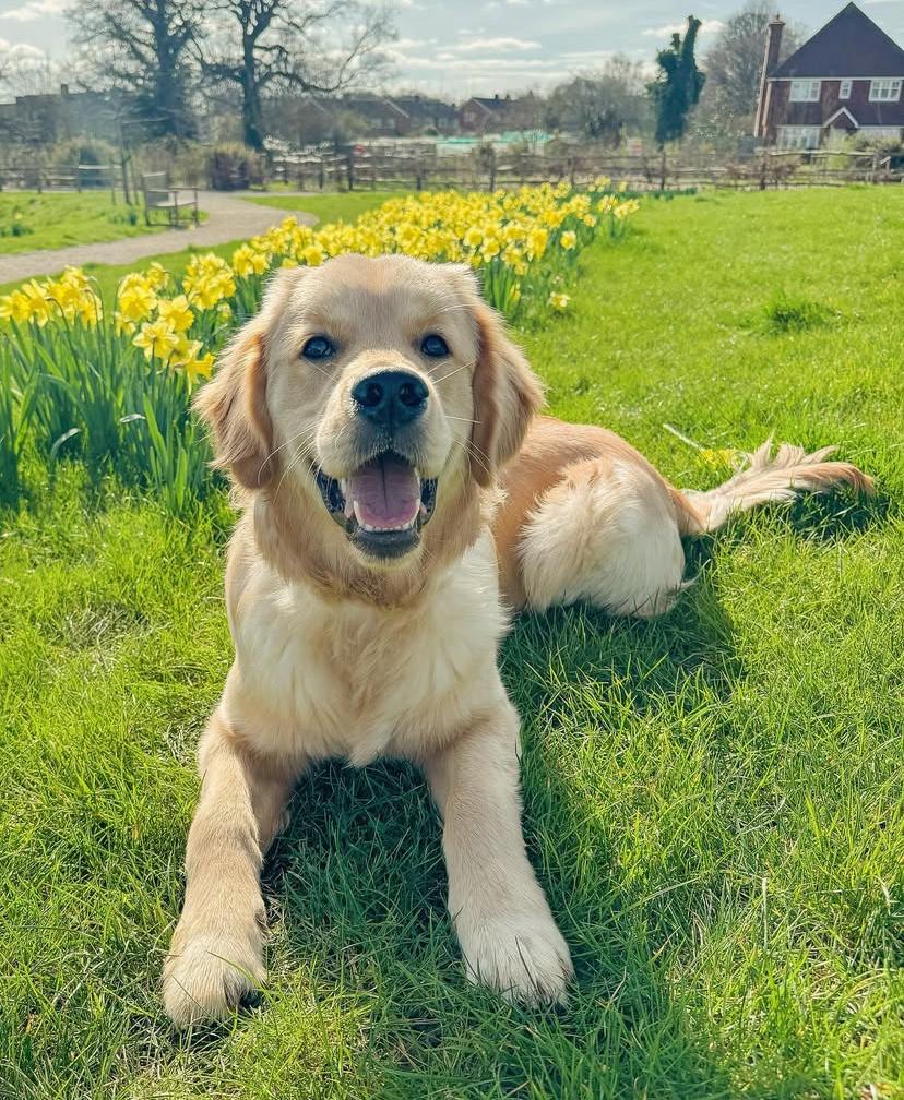 PHOTO-2025-03-19-21-29-53