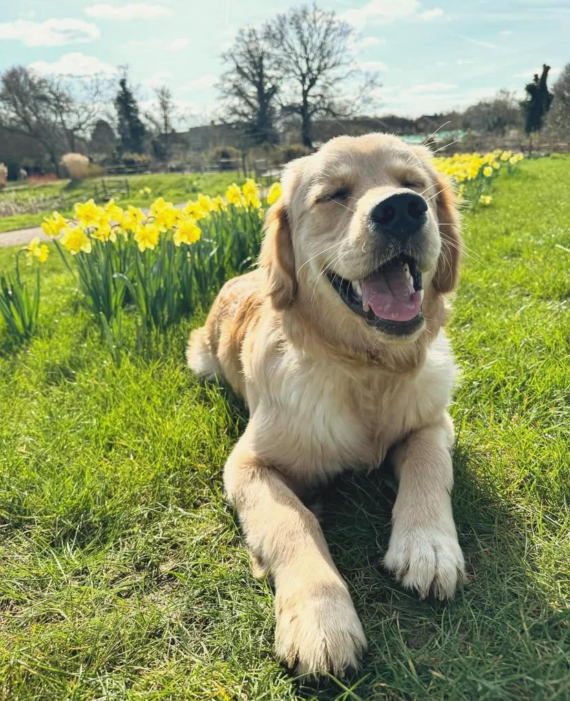 PHOTO-2025-03-19-21-29-54