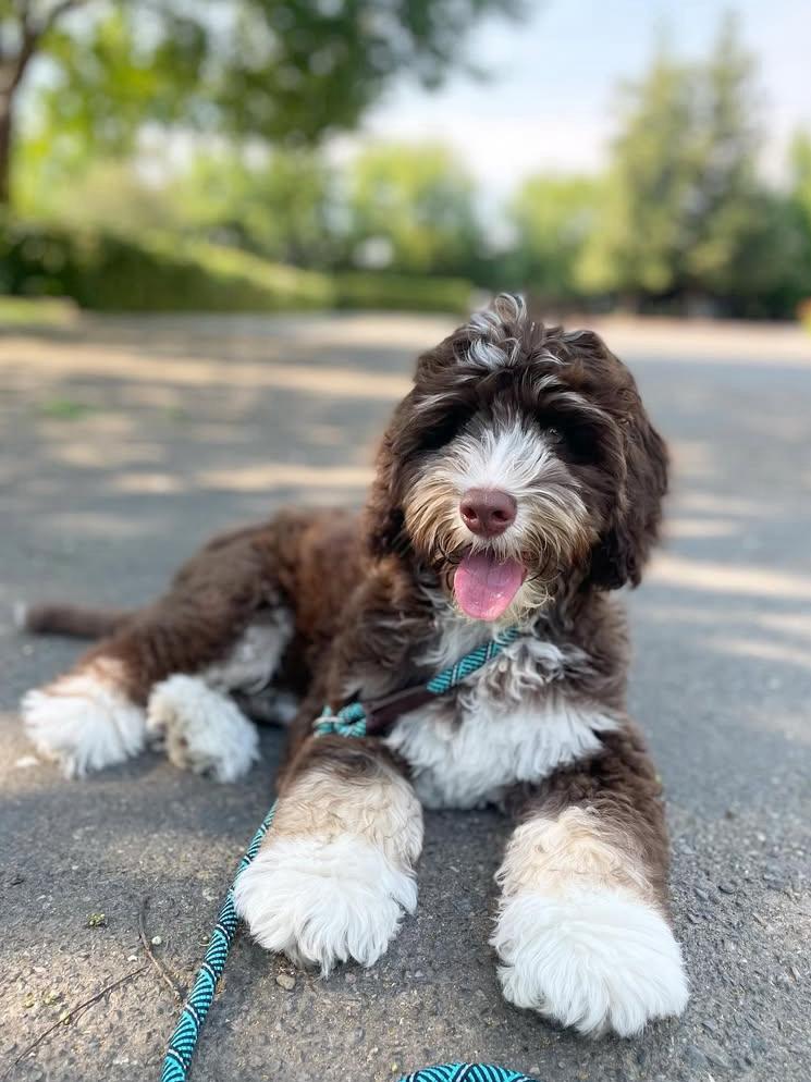 PHOTO-2025-03-19-21-33-50