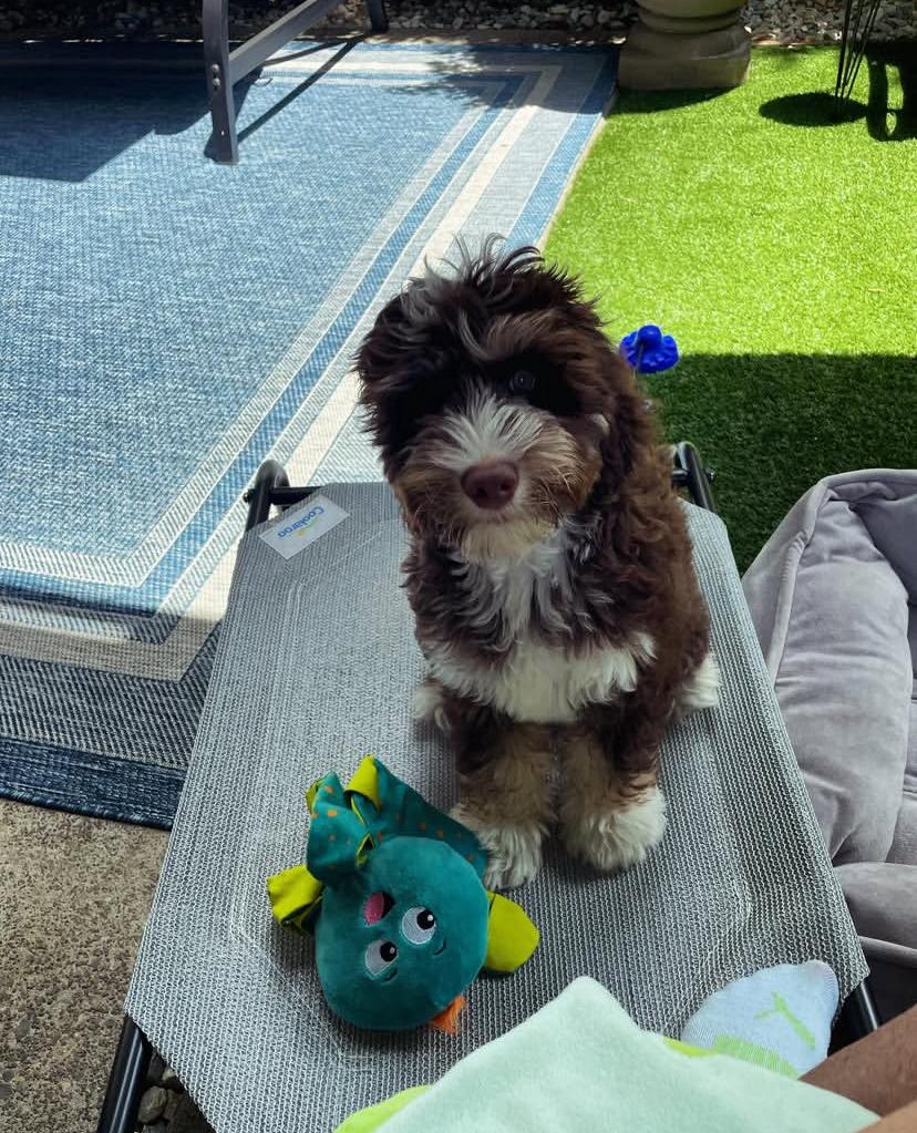 PHOTO-2025-03-19-21-33-51 2