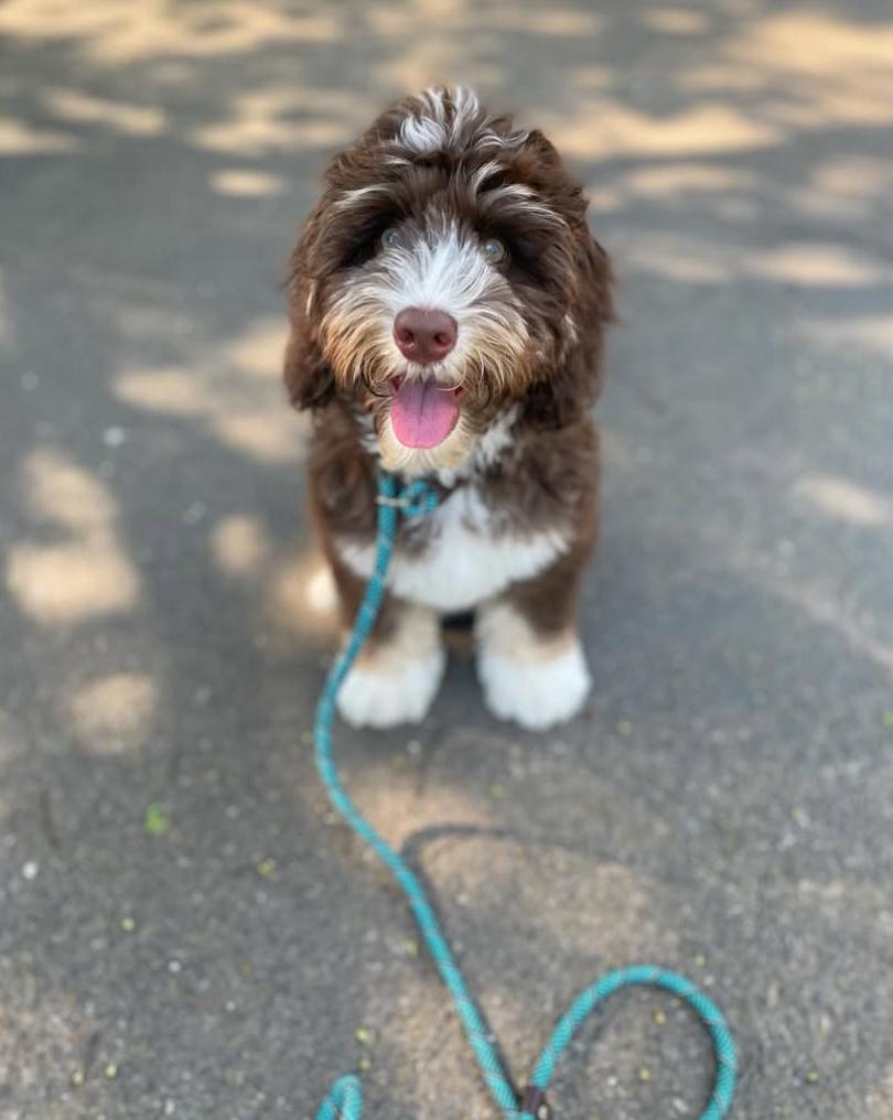 PHOTO-2025-03-19-21-33-51 3