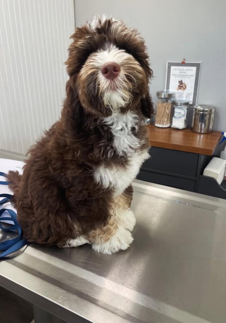 PHOTO-2025-03-19-21-33-51