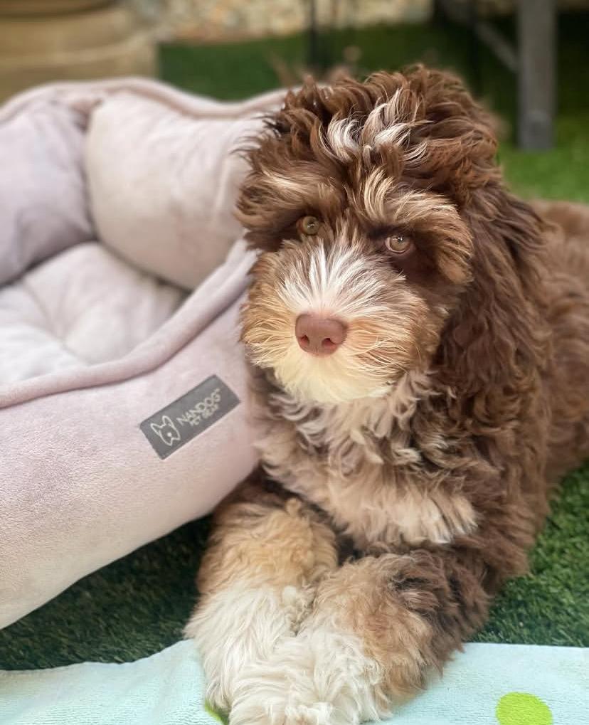 PHOTO-2025-03-19-21-33-52