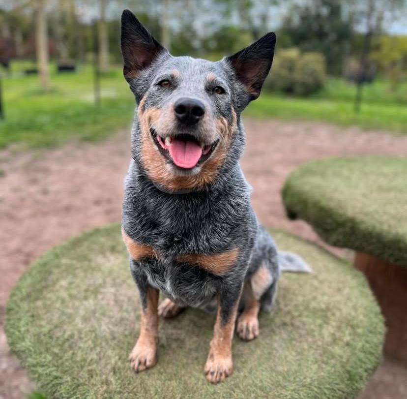 PHOTO-2025-03-19-21-36-51 2