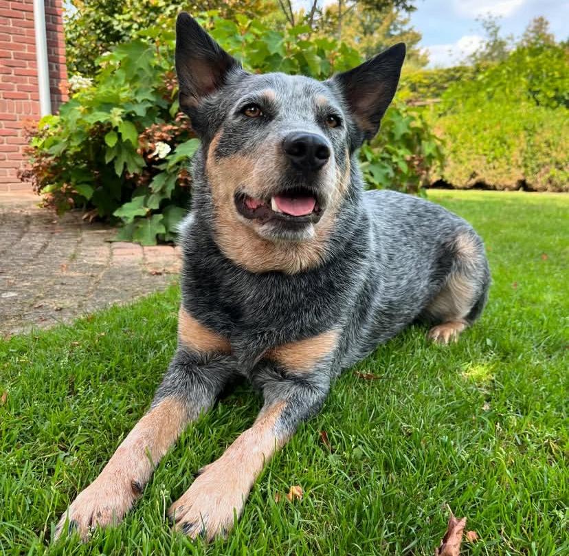 PHOTO-2025-03-19-21-36-51 3