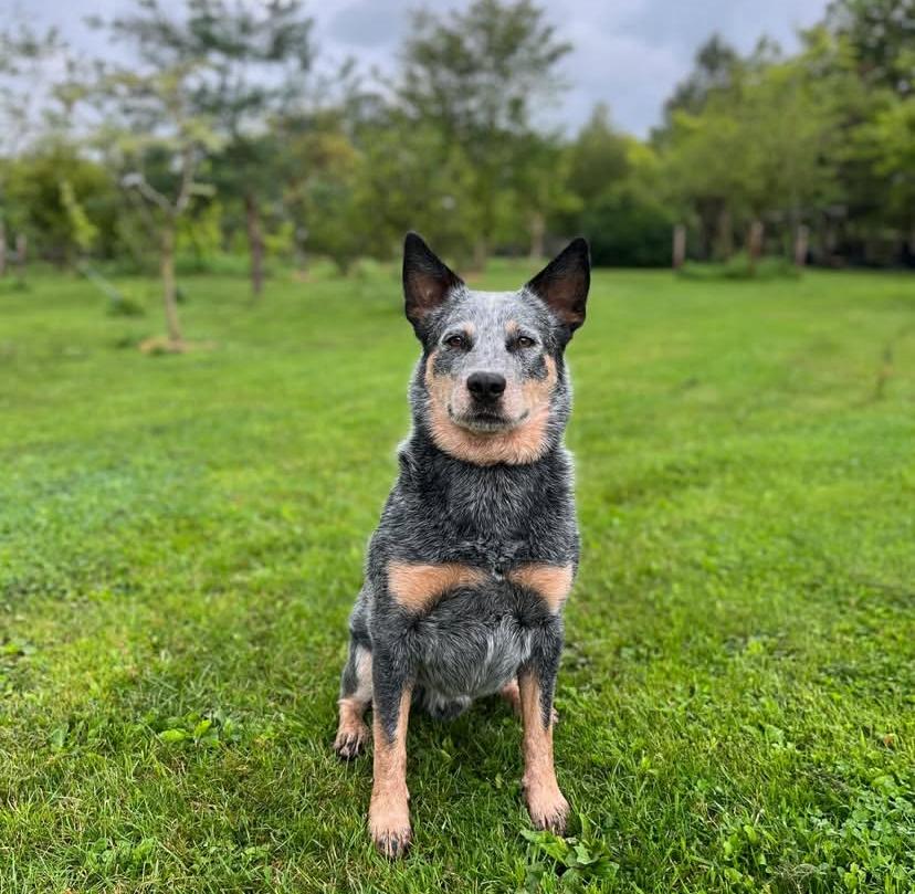 PHOTO-2025-03-19-21-36-51