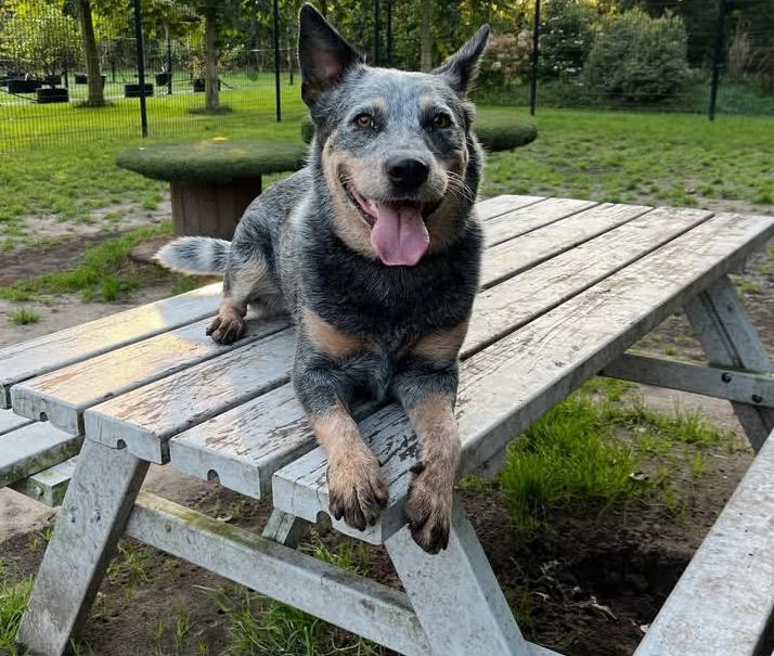 PHOTO-2025-03-19-21-36-52 2