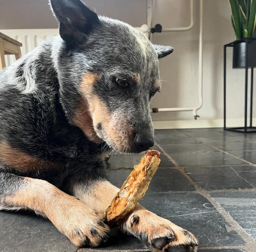 PHOTO-2025-03-19-21-36-52