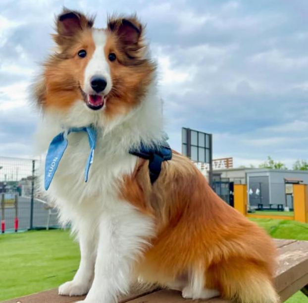 PHOTO-2025-03-19-21-40-18 2