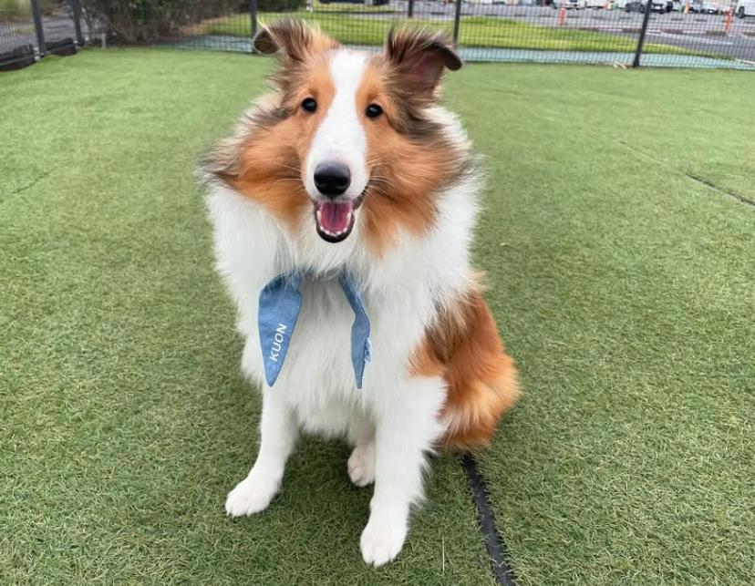 PHOTO-2025-03-19-21-40-18