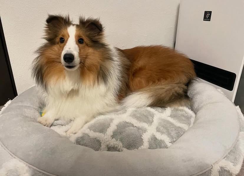 PHOTO-2025-03-19-21-40-19 2