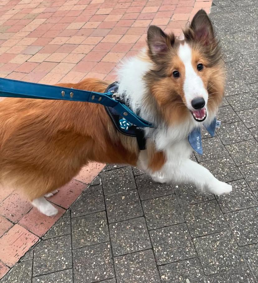 PHOTO-2025-03-19-21-40-19 3