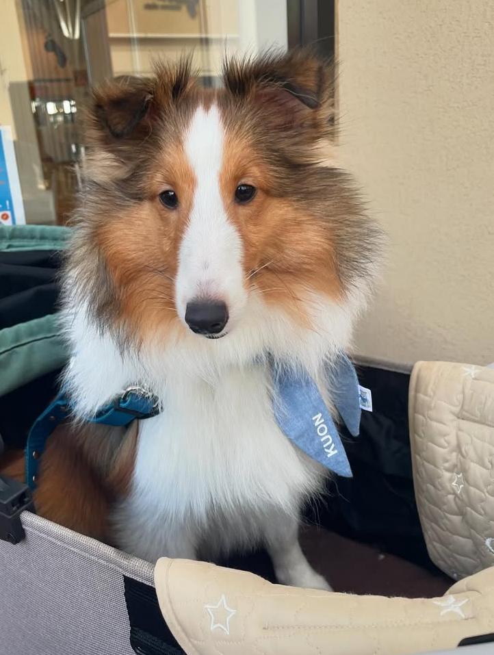 PHOTO-2025-03-19-21-40-19