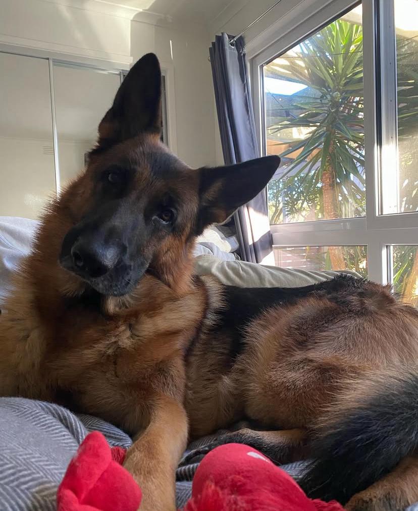 PHOTO-2025-03-19-21-43-40