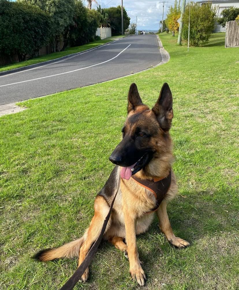 PHOTO-2025-03-19-21-43-40 2