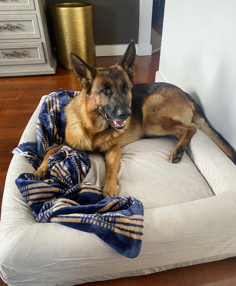 PHOTO-2025-03-19-21-43-40 3