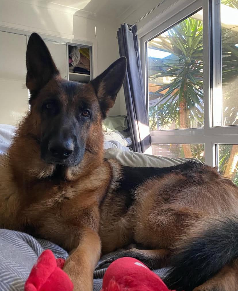 PHOTO-2025-03-19-21-43-40 4