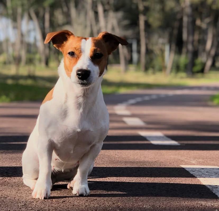 PHOTO-2025-03-19-21-46-21 2