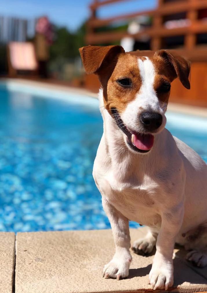 PHOTO-2025-03-19-21-46-21